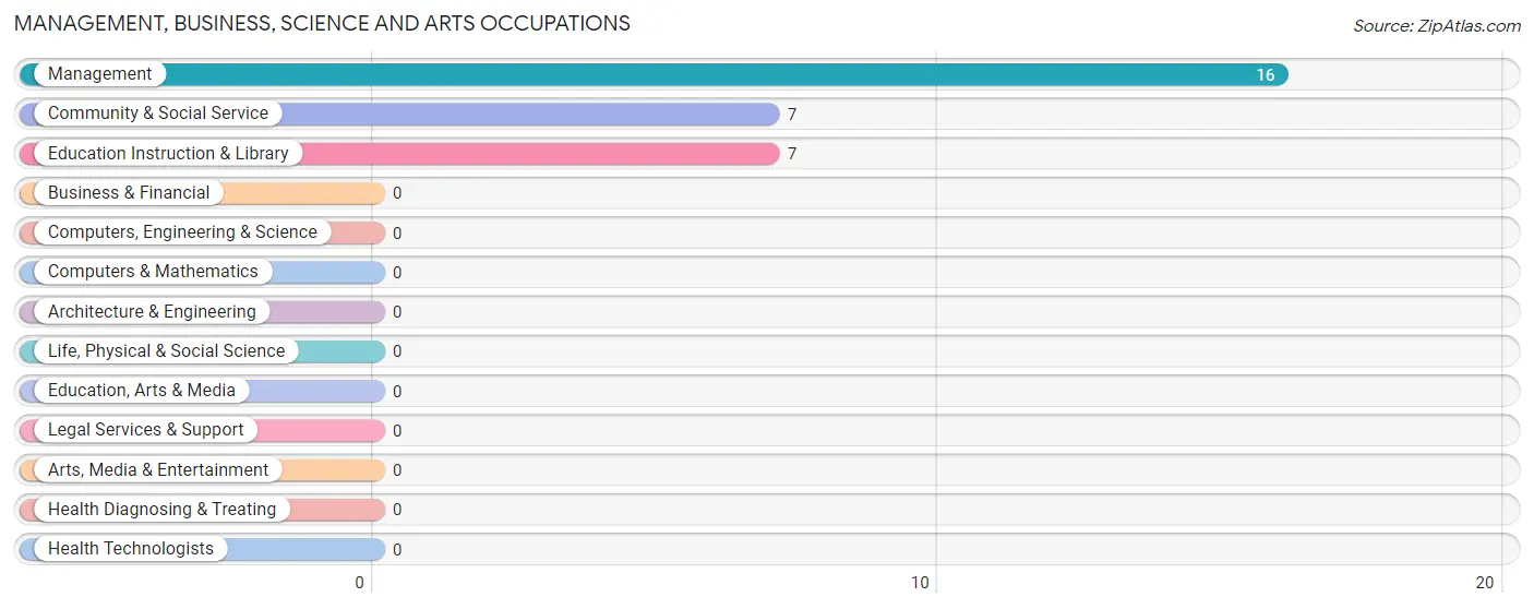 Management, Business, Science and Arts Occupations in Zip Code 23962