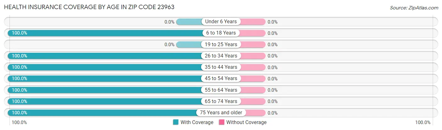 Health Insurance Coverage by Age in Zip Code 23963