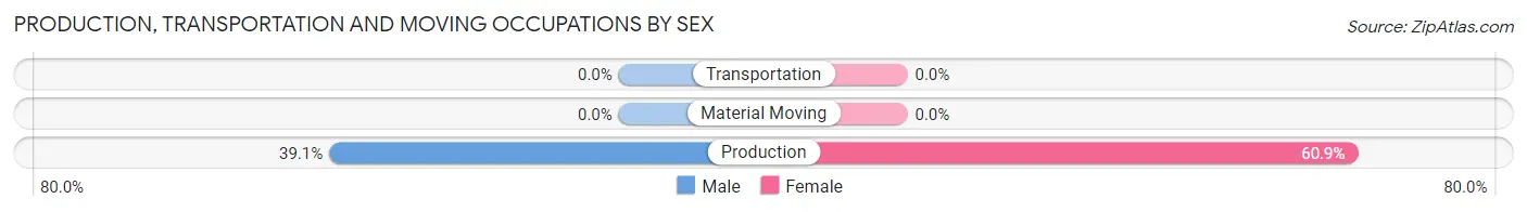 Production, Transportation and Moving Occupations by Sex in Zip Code 23963