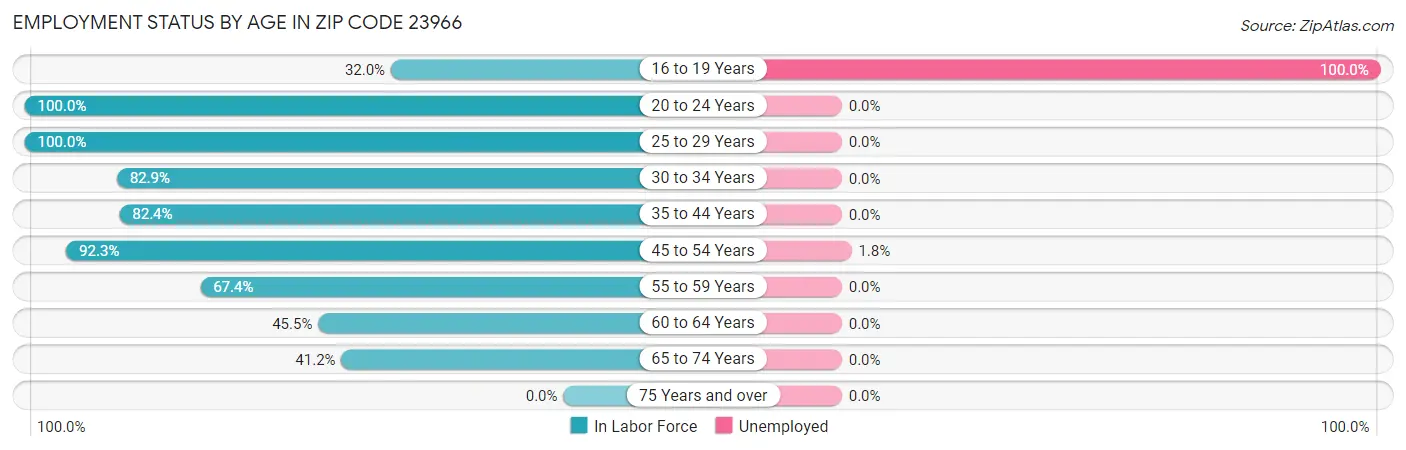 Employment Status by Age in Zip Code 23966