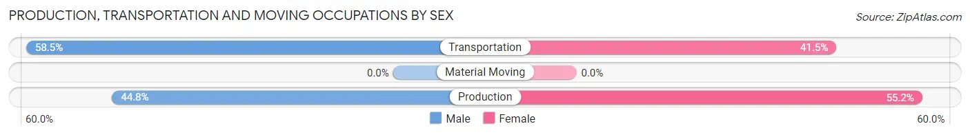 Production, Transportation and Moving Occupations by Sex in Zip Code 23967