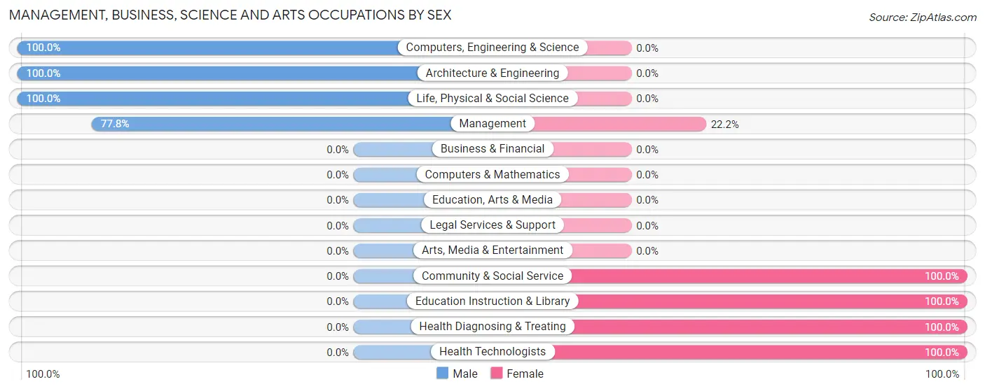 Management, Business, Science and Arts Occupations by Sex in Zip Code 23968