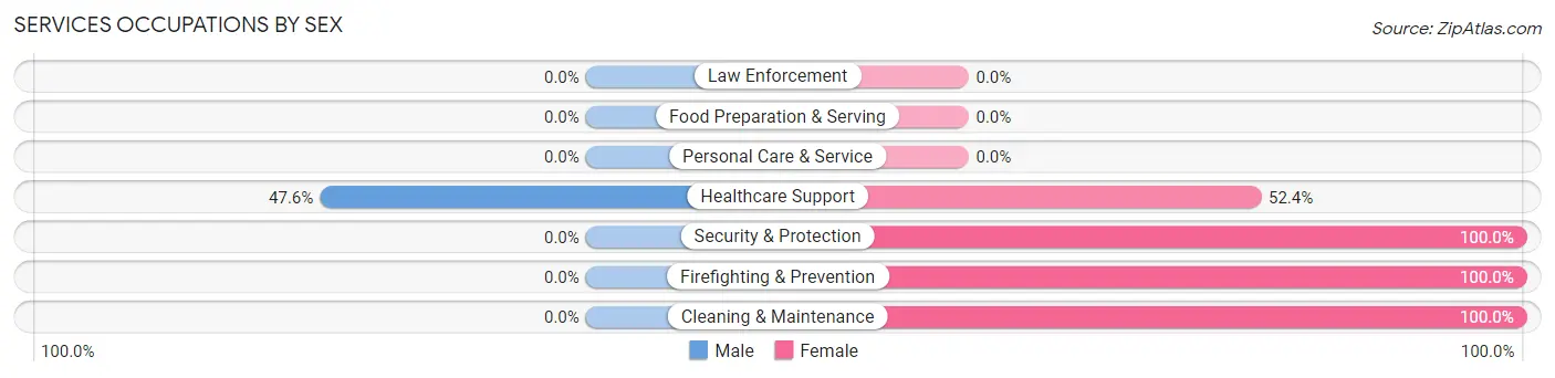 Services Occupations by Sex in Zip Code 23968