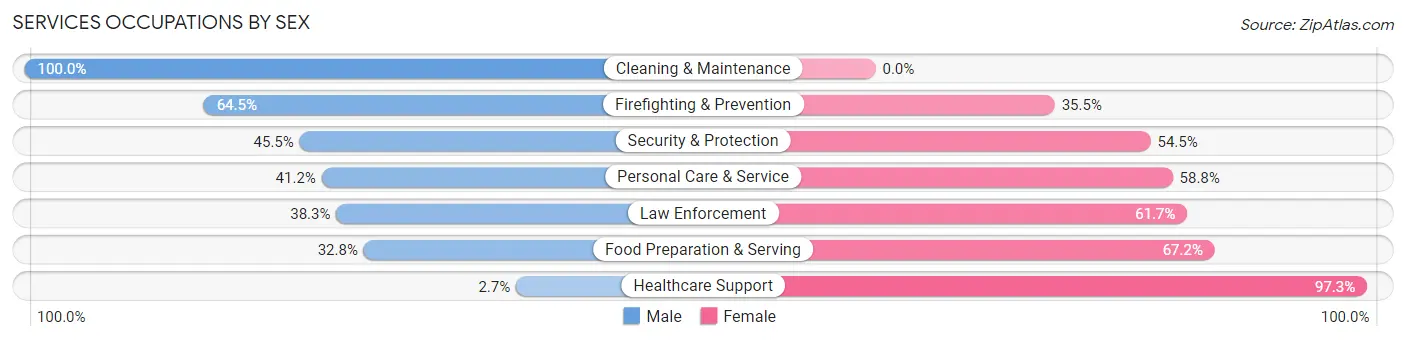 Services Occupations by Sex in Zip Code 23974