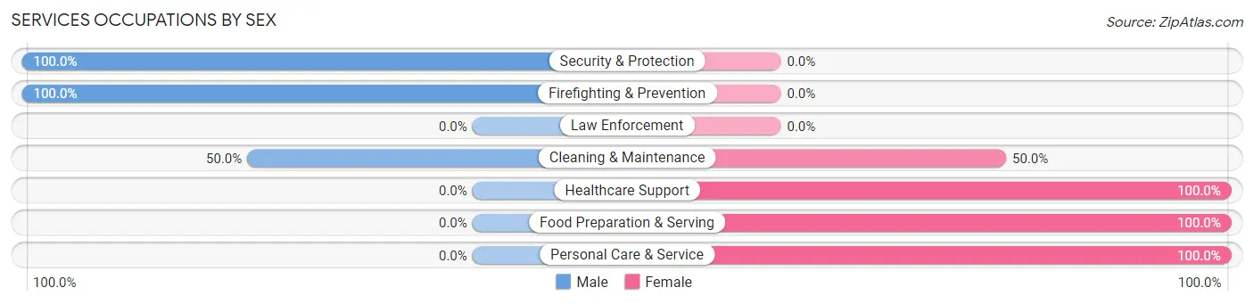 Services Occupations by Sex in Zip Code 24011