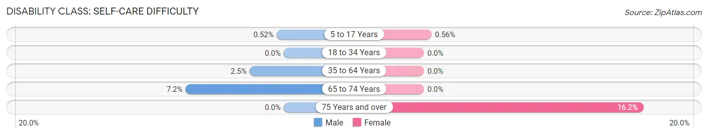 Disability in Zip Code 24013: <span>Self-Care Difficulty</span>