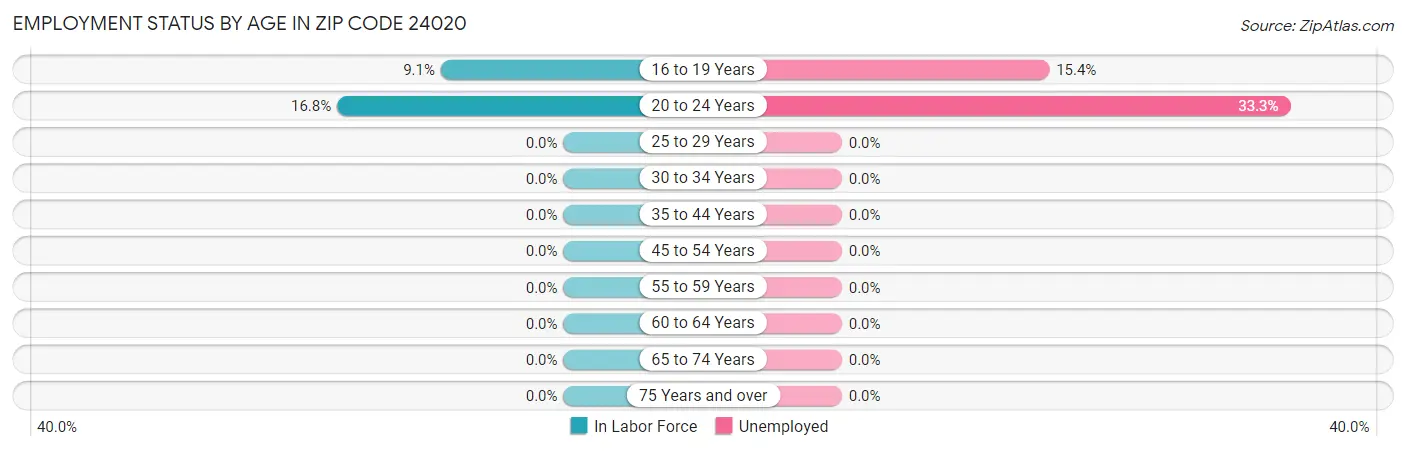 Employment Status by Age in Zip Code 24020