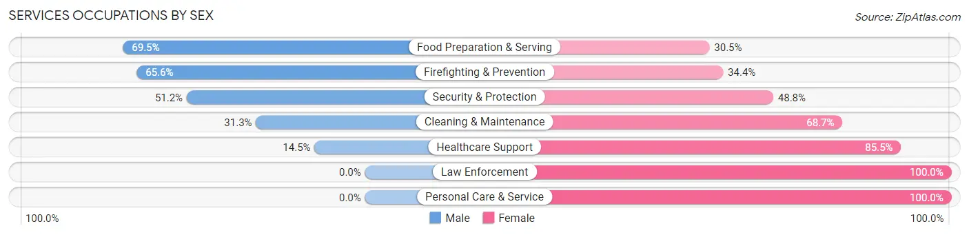 Services Occupations by Sex in Zip Code 24054