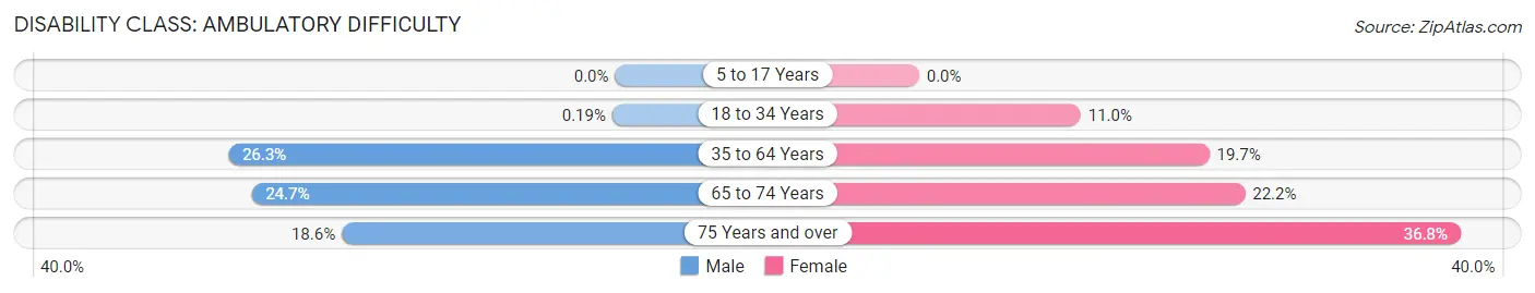 Disability in Zip Code 24055: <span>Ambulatory Difficulty</span>