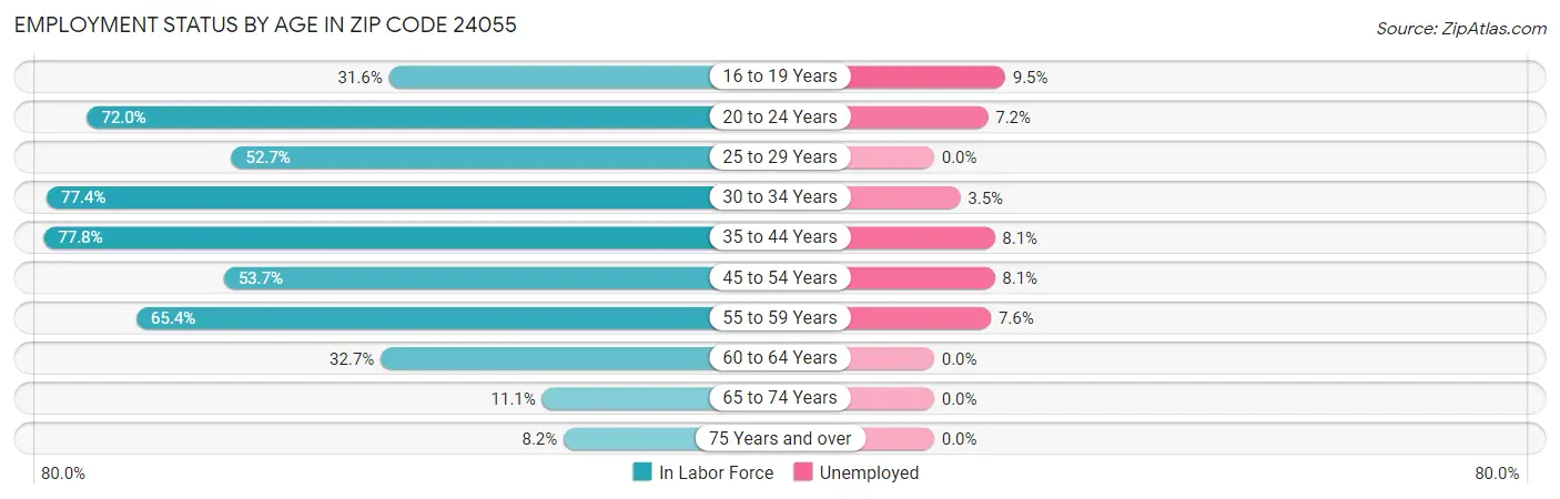 Employment Status by Age in Zip Code 24055