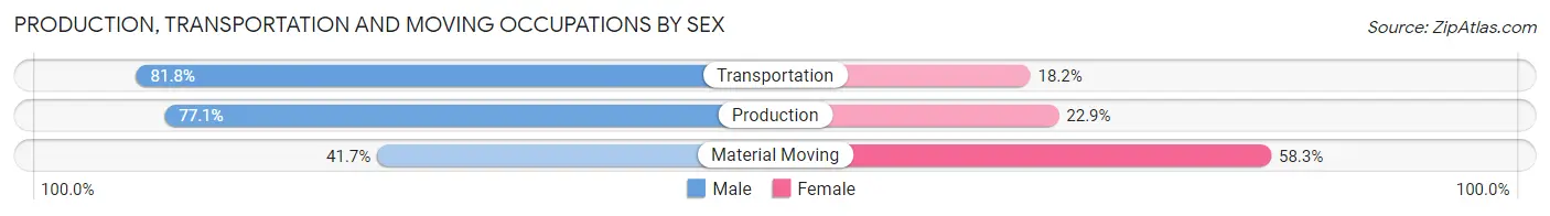 Production, Transportation and Moving Occupations by Sex in Zip Code 24055