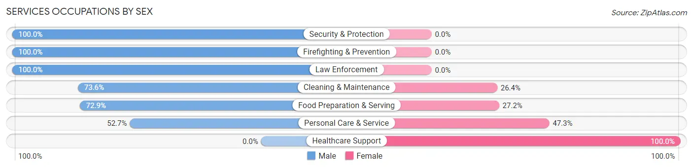 Services Occupations by Sex in Zip Code 24055