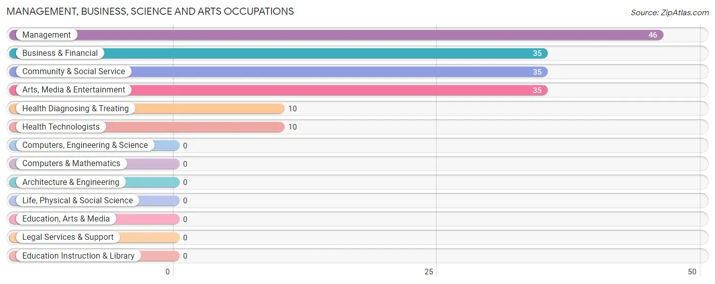 Management, Business, Science and Arts Occupations in Zip Code 24059