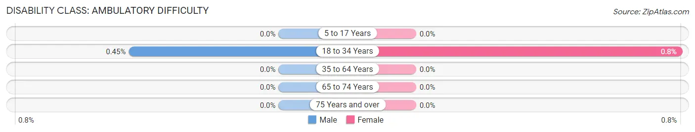 Disability in Zip Code 24061: <span>Ambulatory Difficulty</span>