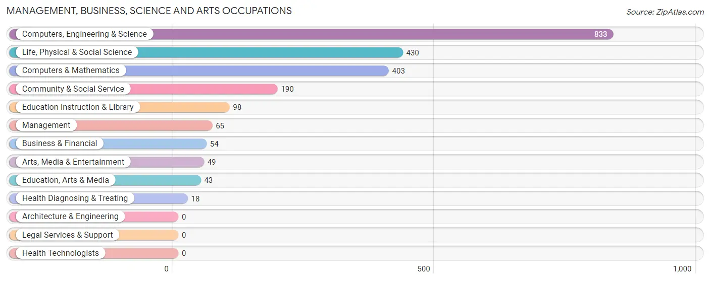 Management, Business, Science and Arts Occupations in Zip Code 24061