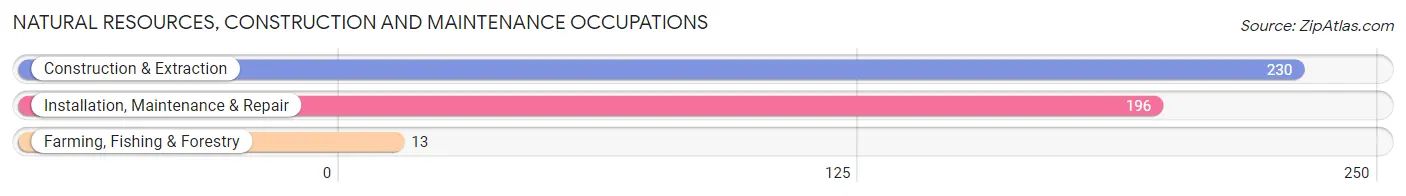 Natural Resources, Construction and Maintenance Occupations in Zip Code 24065