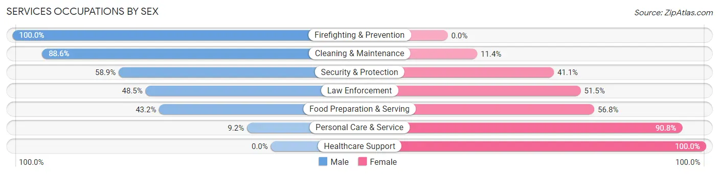 Services Occupations by Sex in Zip Code 24065
