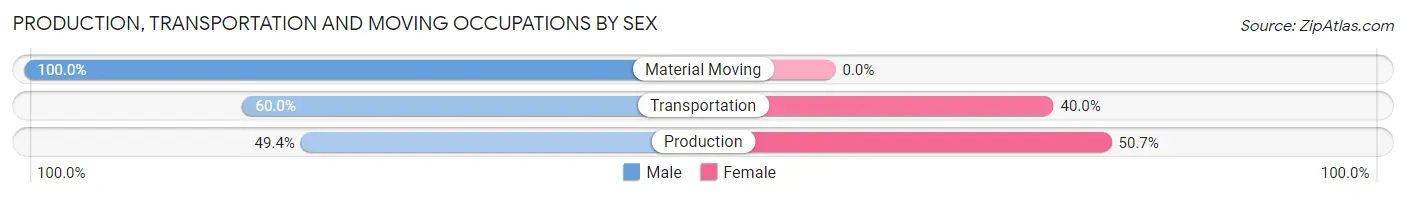 Production, Transportation and Moving Occupations by Sex in Zip Code 24069