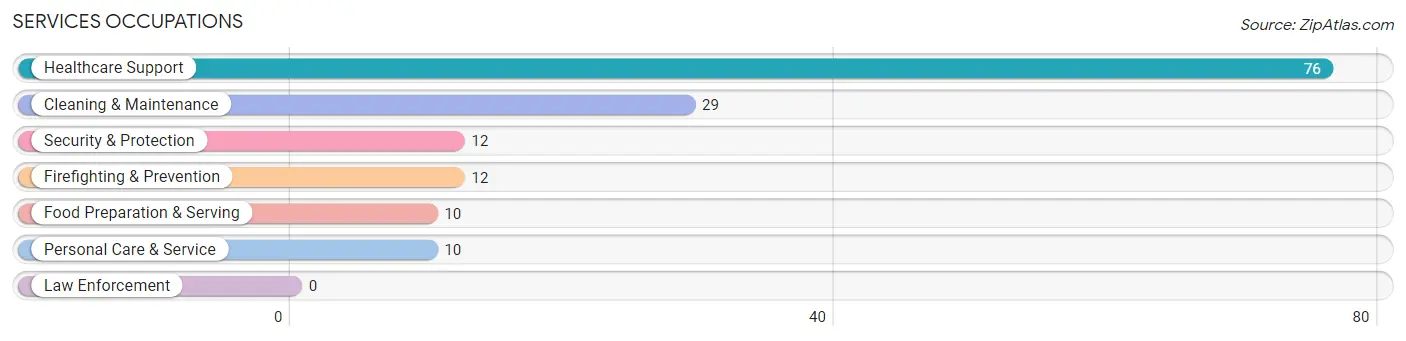 Services Occupations in Zip Code 24069