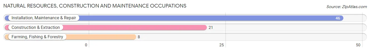 Natural Resources, Construction and Maintenance Occupations in Zip Code 24070