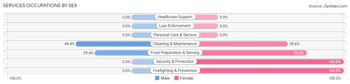 Services Occupations by Sex in Zip Code 24070