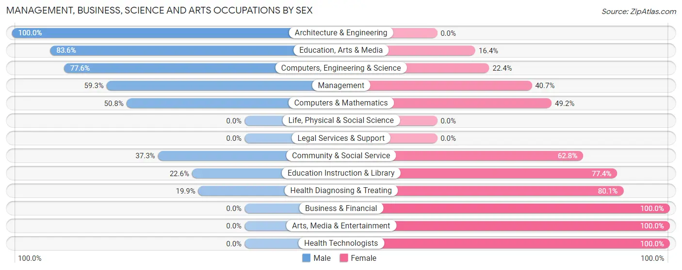 Management, Business, Science and Arts Occupations by Sex in Zip Code 24078