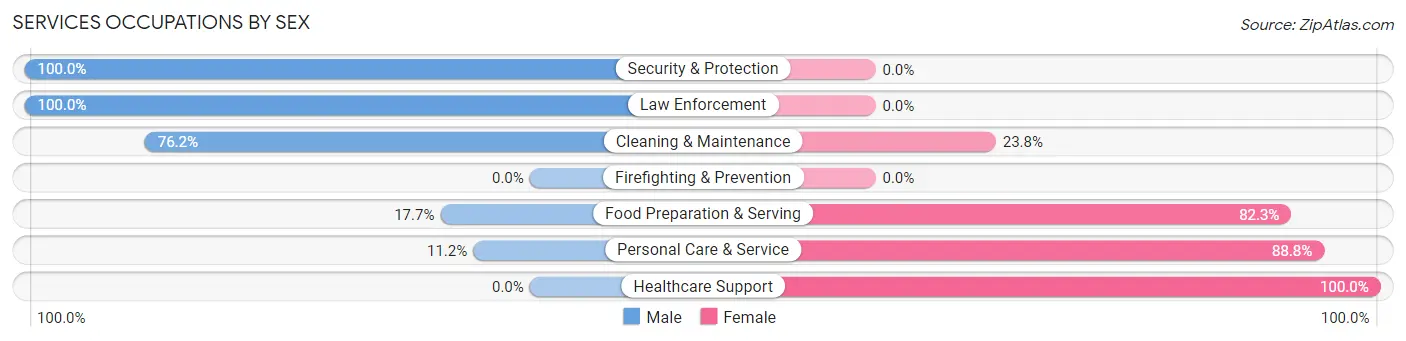 Services Occupations by Sex in Zip Code 24078