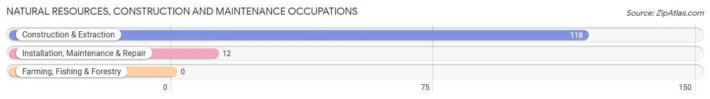 Natural Resources, Construction and Maintenance Occupations in Zip Code 24079