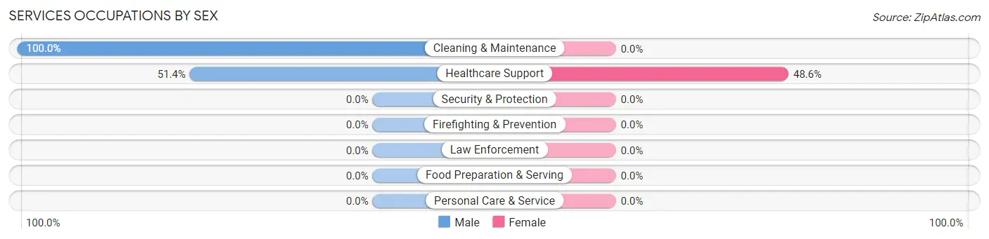 Services Occupations by Sex in Zip Code 24079