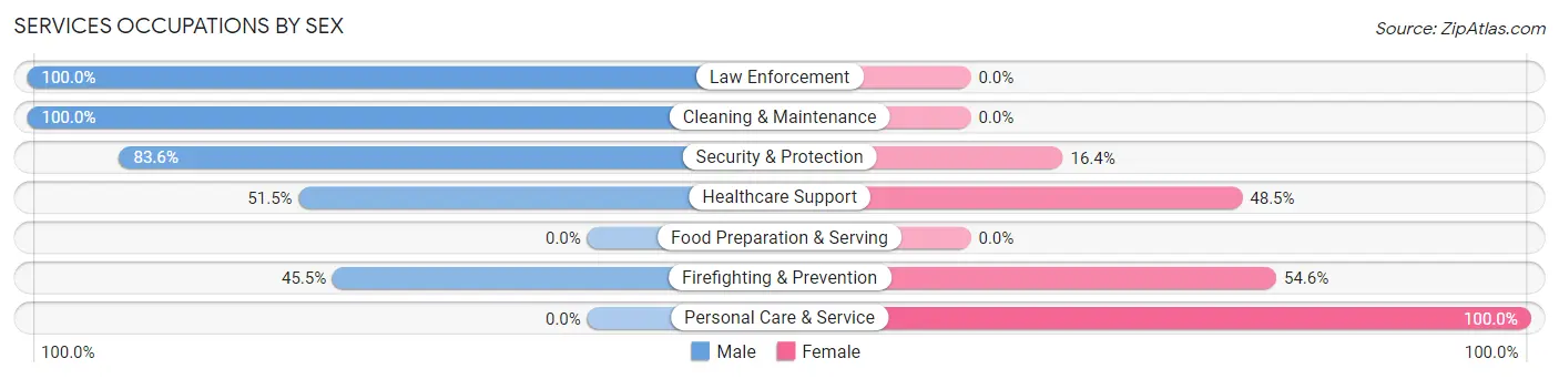Services Occupations by Sex in Zip Code 24083