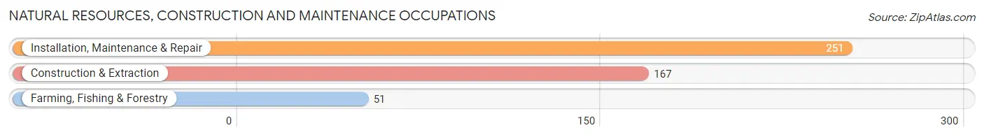 Natural Resources, Construction and Maintenance Occupations in Zip Code 24084