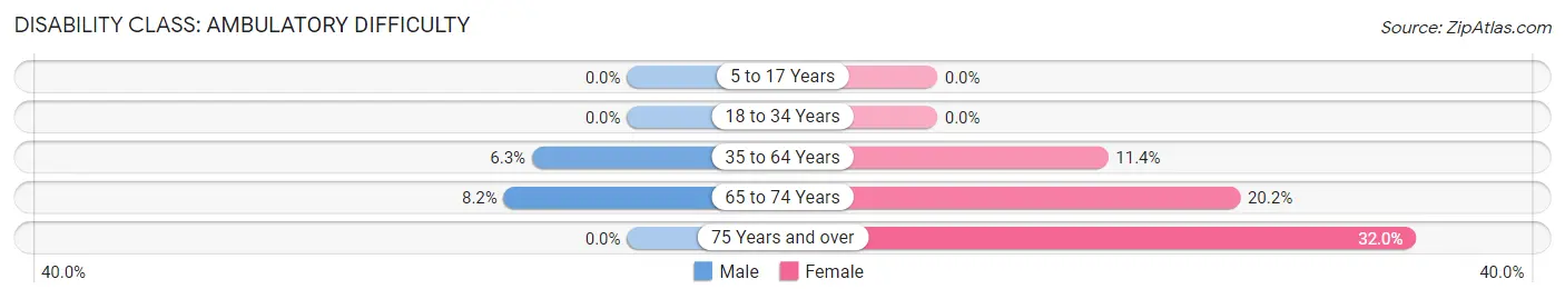 Disability in Zip Code 24088: <span>Ambulatory Difficulty</span>