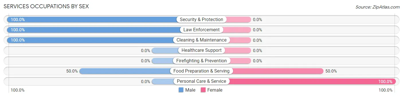 Services Occupations by Sex in Zip Code 24093