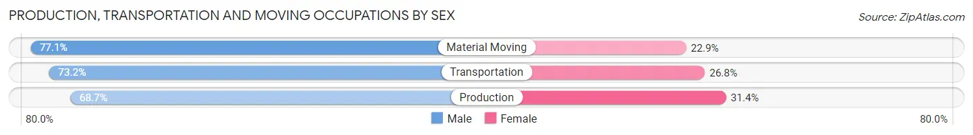 Production, Transportation and Moving Occupations by Sex in Zip Code 24095
