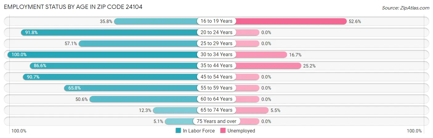 Employment Status by Age in Zip Code 24104