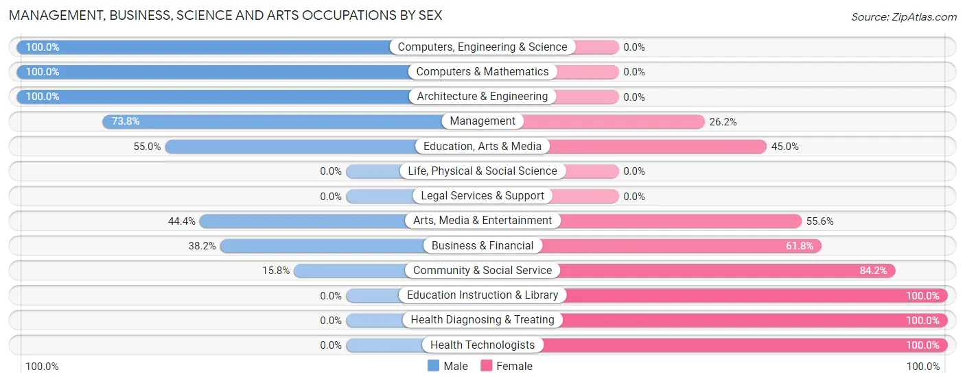 Management, Business, Science and Arts Occupations by Sex in Zip Code 24104