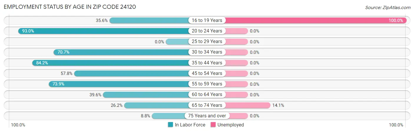 Employment Status by Age in Zip Code 24120