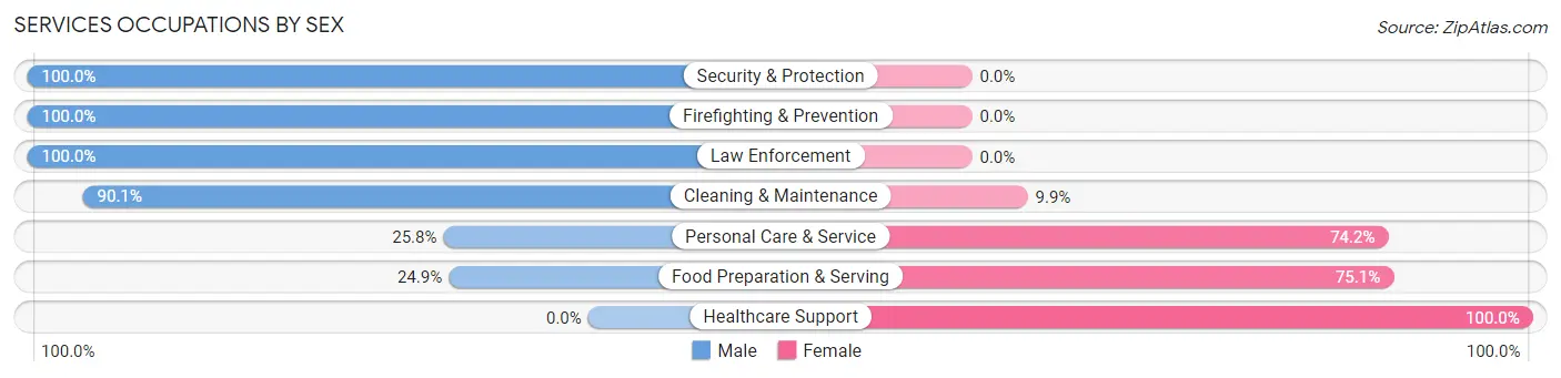 Services Occupations by Sex in Zip Code 24121