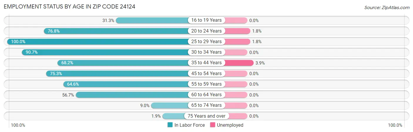 Employment Status by Age in Zip Code 24124