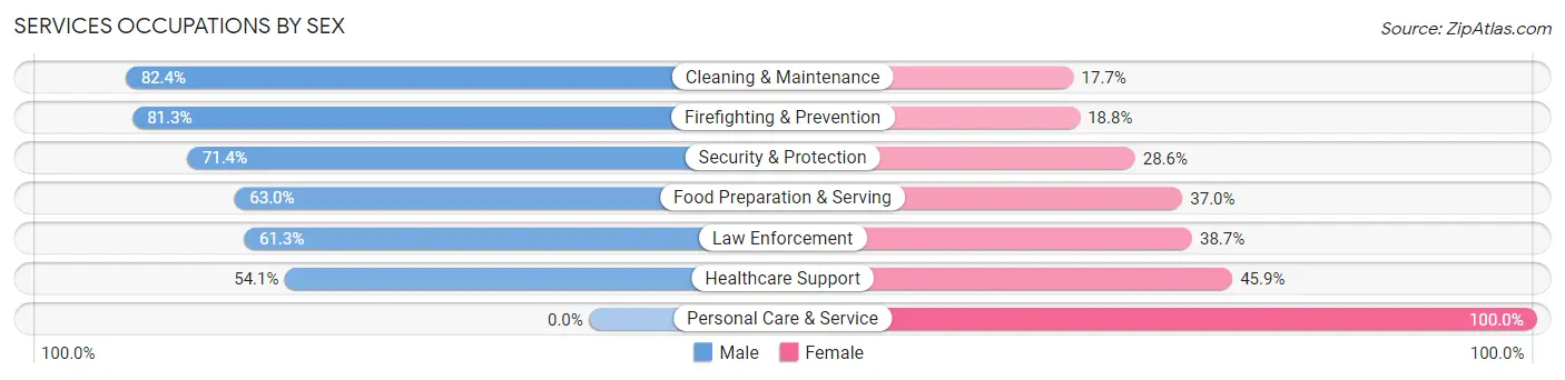 Services Occupations by Sex in Zip Code 24124