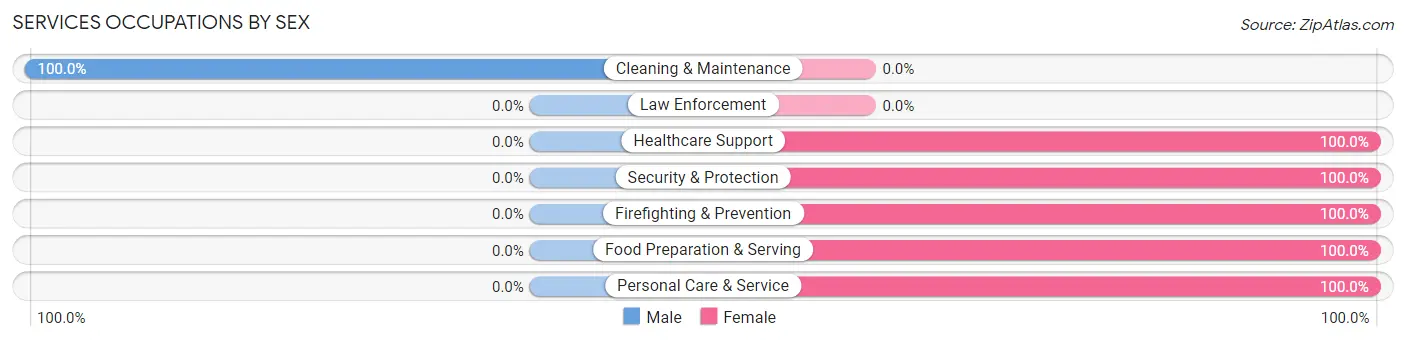 Services Occupations by Sex in Zip Code 24127