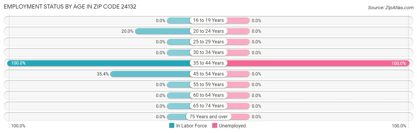 Employment Status by Age in Zip Code 24132