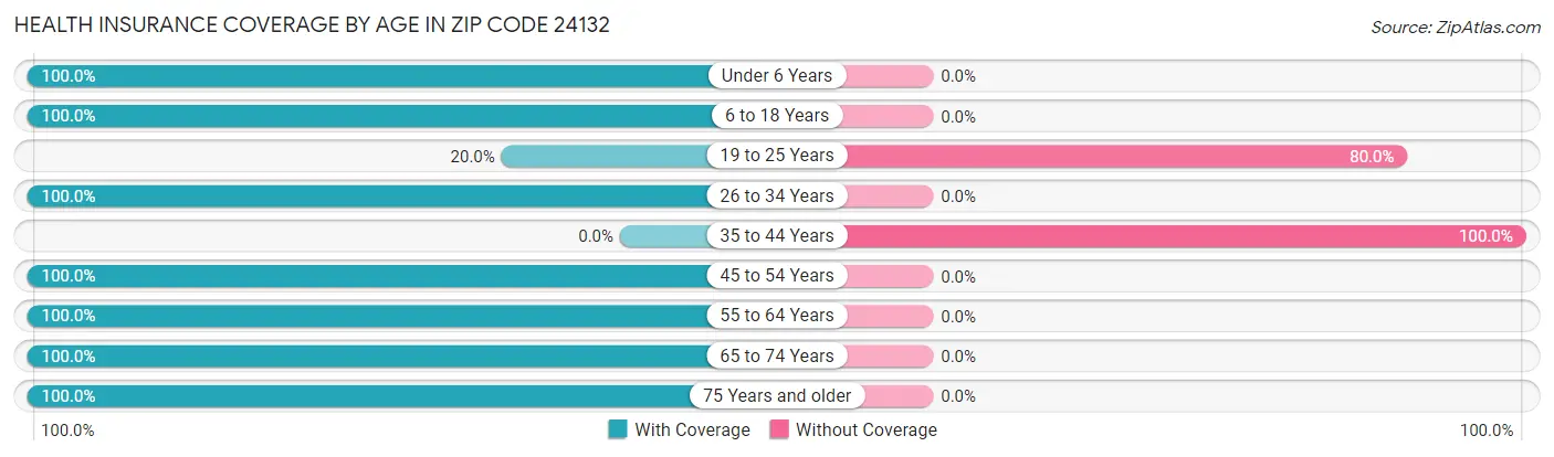 Health Insurance Coverage by Age in Zip Code 24132