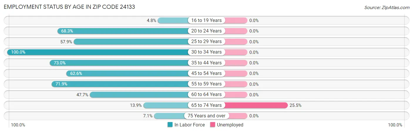 Employment Status by Age in Zip Code 24133
