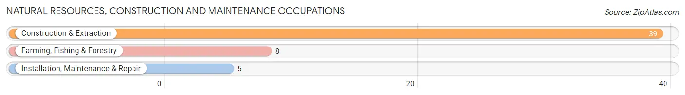 Natural Resources, Construction and Maintenance Occupations in Zip Code 24133