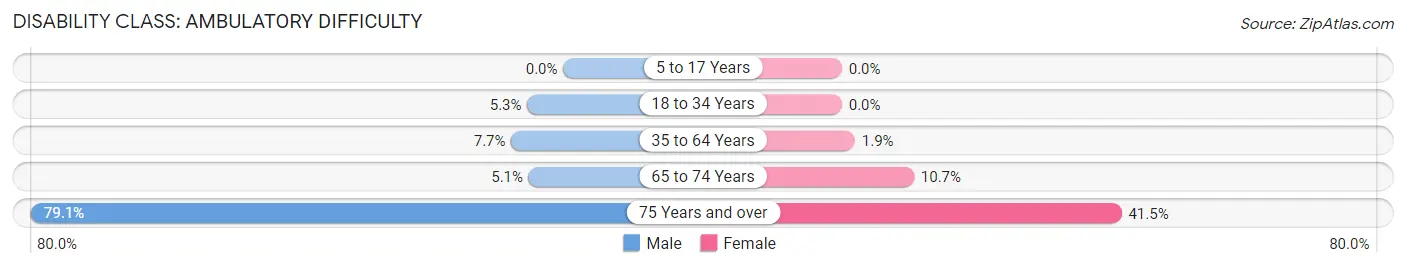 Disability in Zip Code 24134: <span>Ambulatory Difficulty</span>