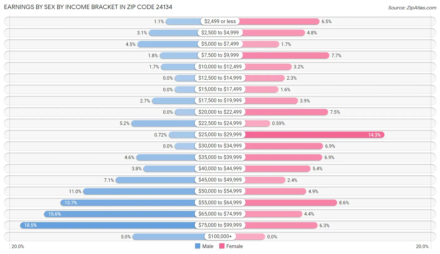 Earnings by Sex by Income Bracket in Zip Code 24134