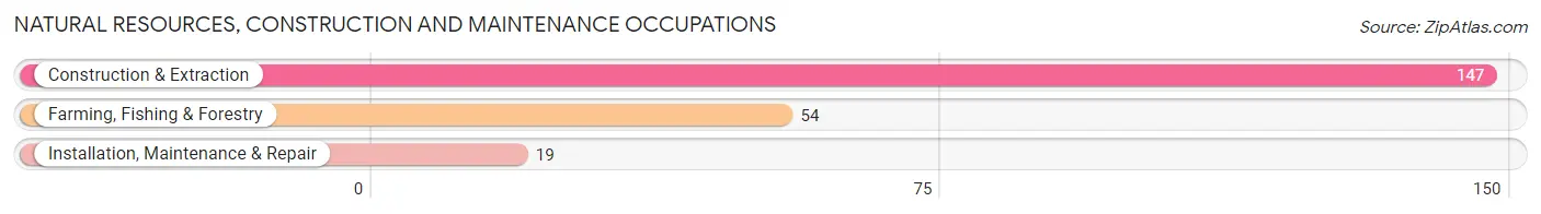 Natural Resources, Construction and Maintenance Occupations in Zip Code 24134