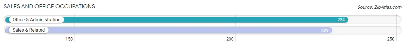 Sales and Office Occupations in Zip Code 24134