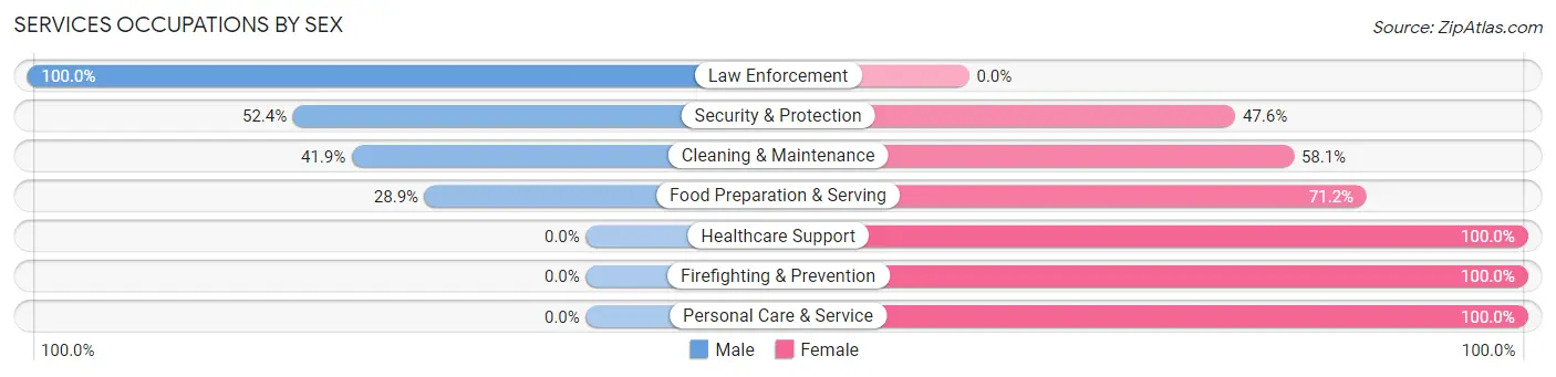 Services Occupations by Sex in Zip Code 24134